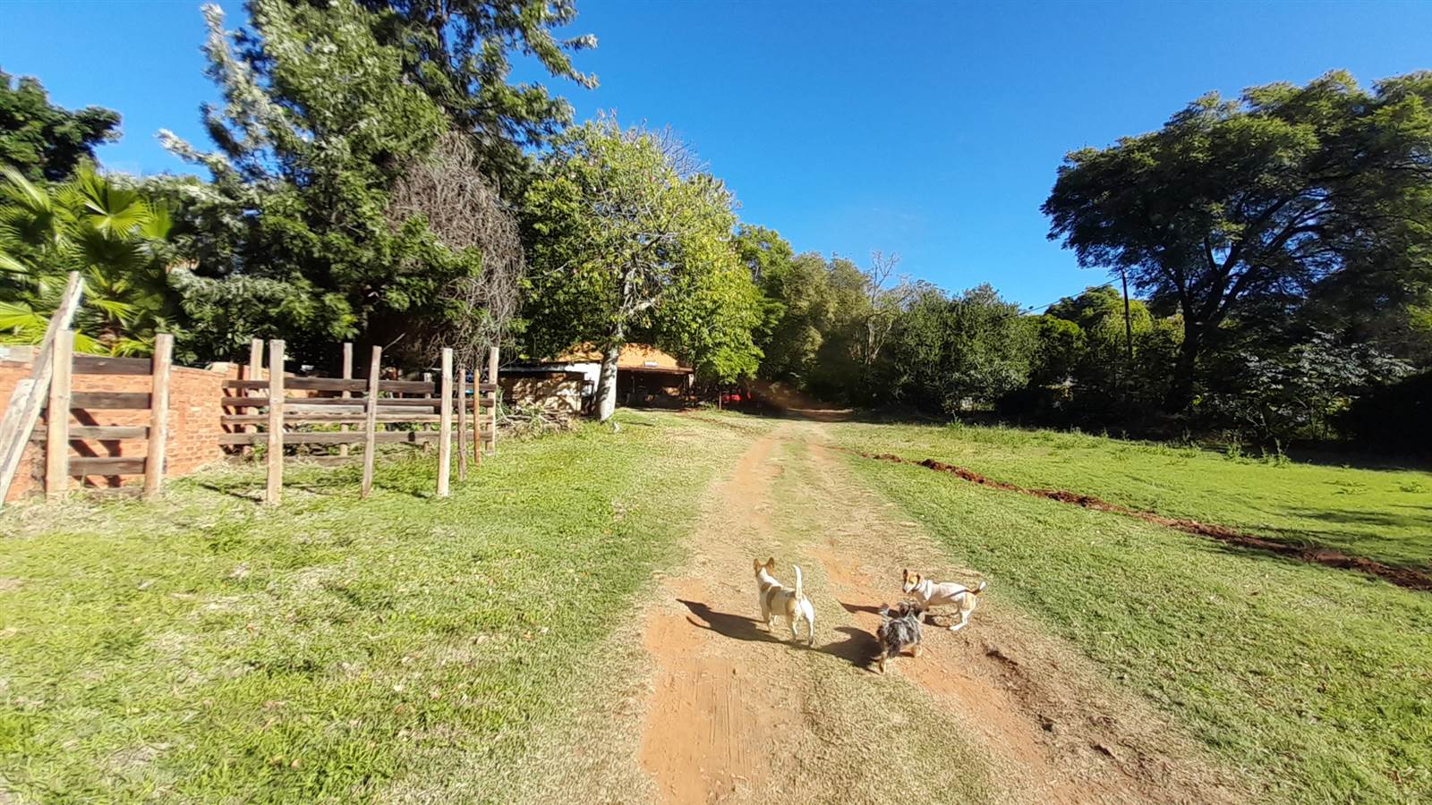 4.7 ha Farm in Strydfontein and surrounds photo number 10