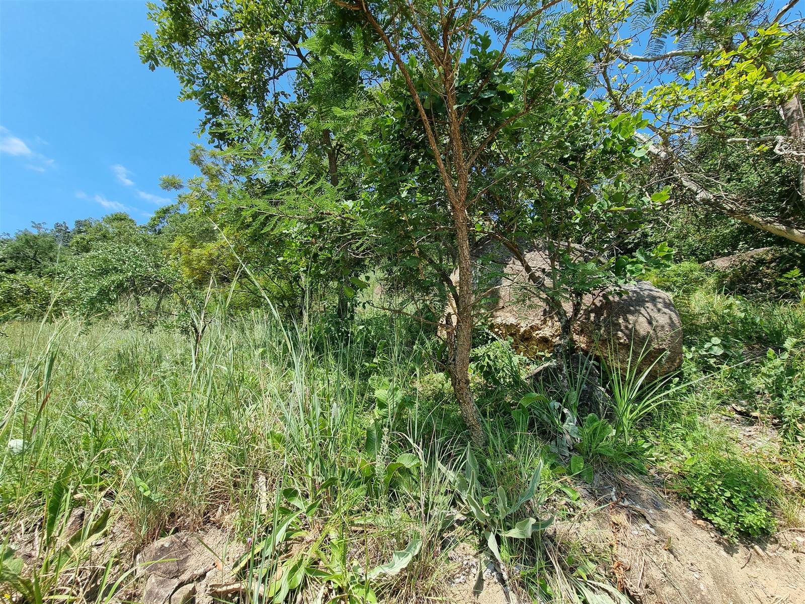 1235 m² Land available in Nelspruit photo number 4