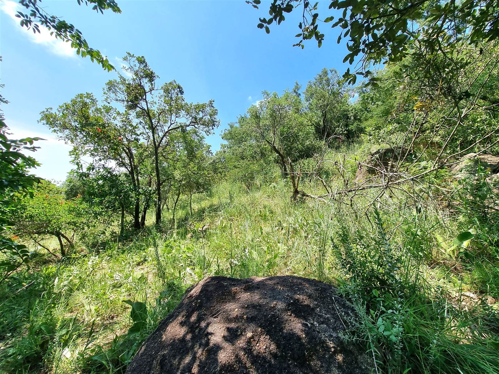 1235 m² Land available in Nelspruit photo number 8