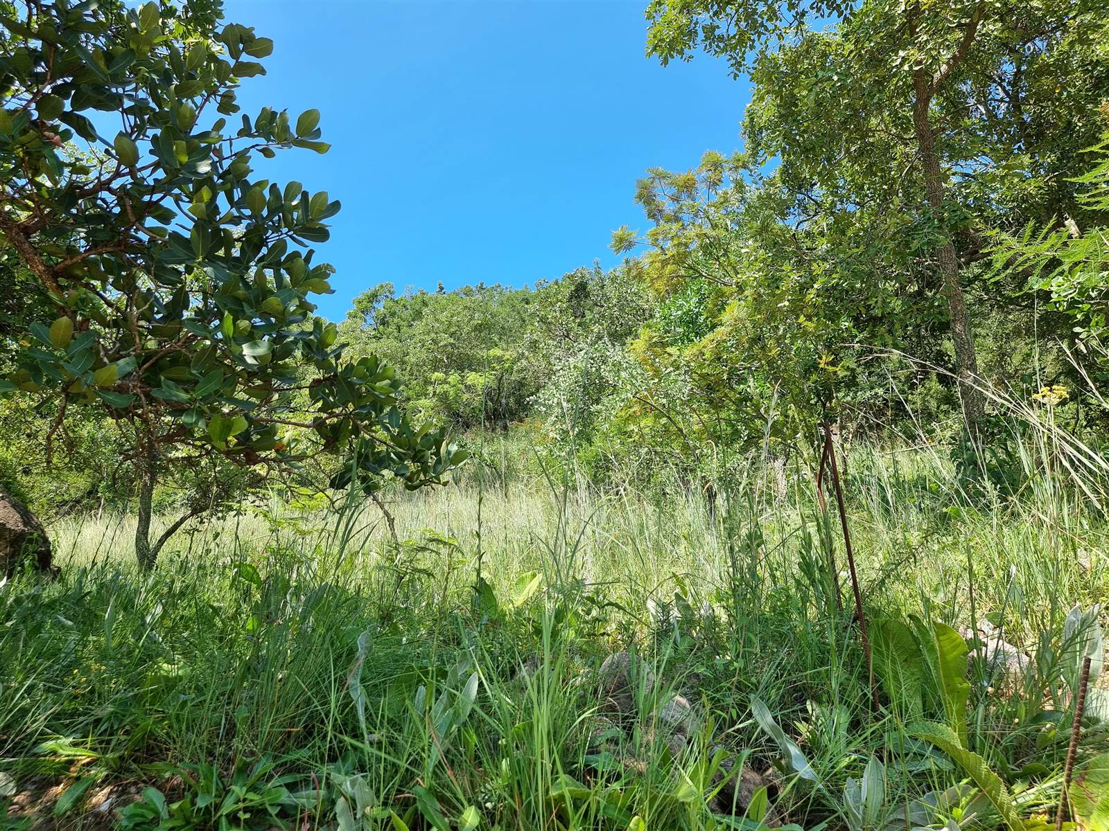 1235 m² Land available in Nelspruit photo number 21