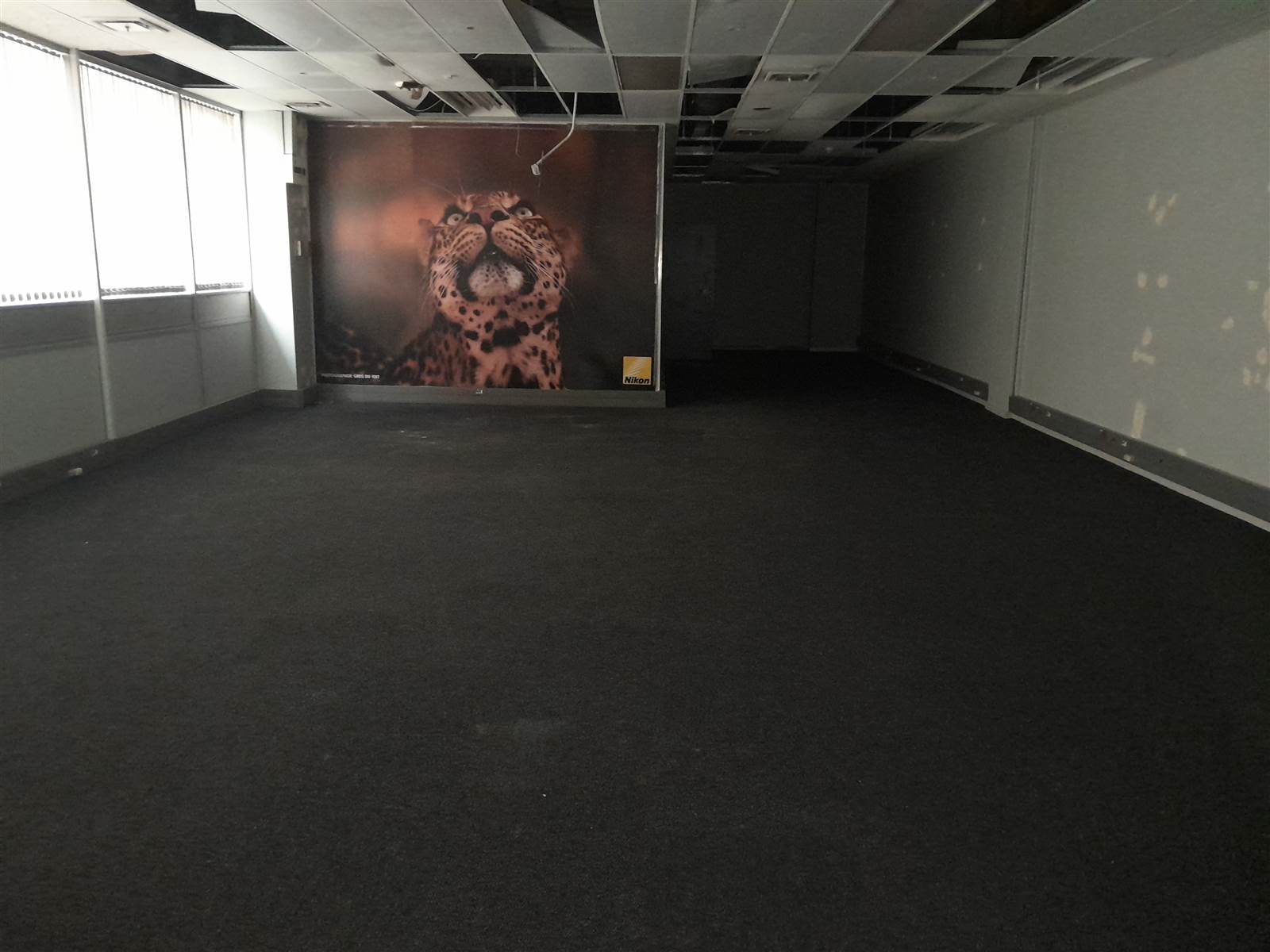 222.3  m² Commercial space in Durban CBD photo number 4