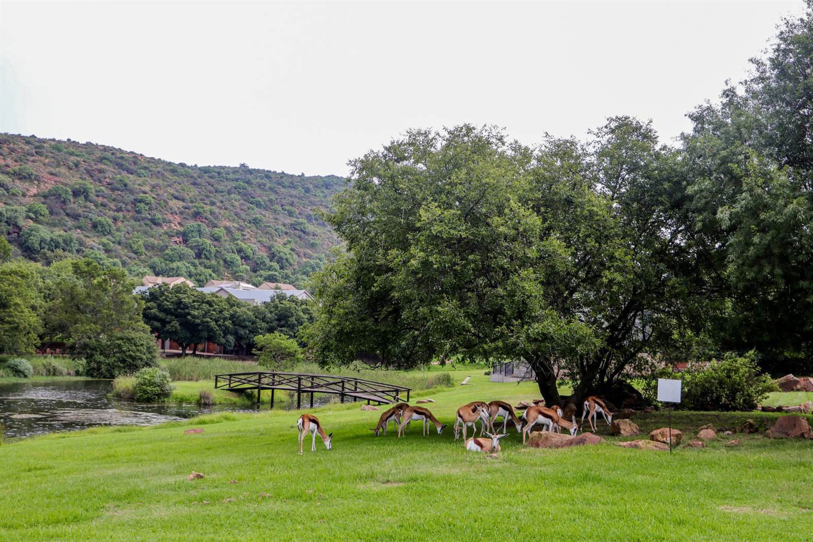 1214 m² Land available in Heidelberg Kloof Estate photo number 1