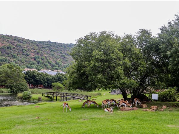 1214 m² Land available in Heidelberg Kloof Estate