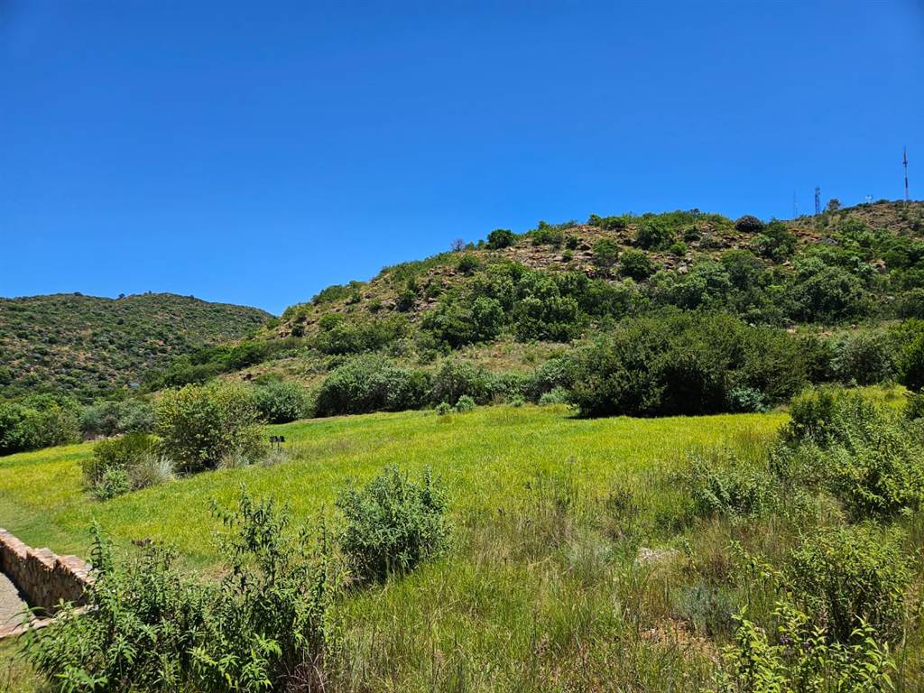 1214 m² Land available in Heidelberg Kloof Estate photo number 12
