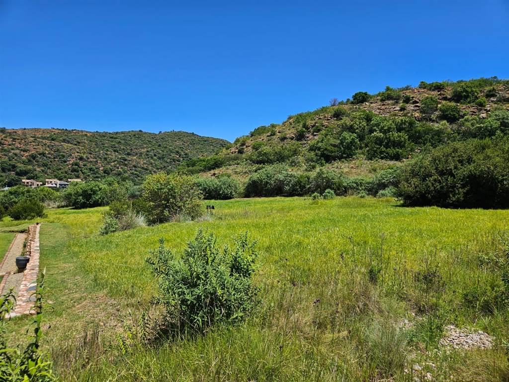 1214 m² Land available in Heidelberg Kloof Estate photo number 8