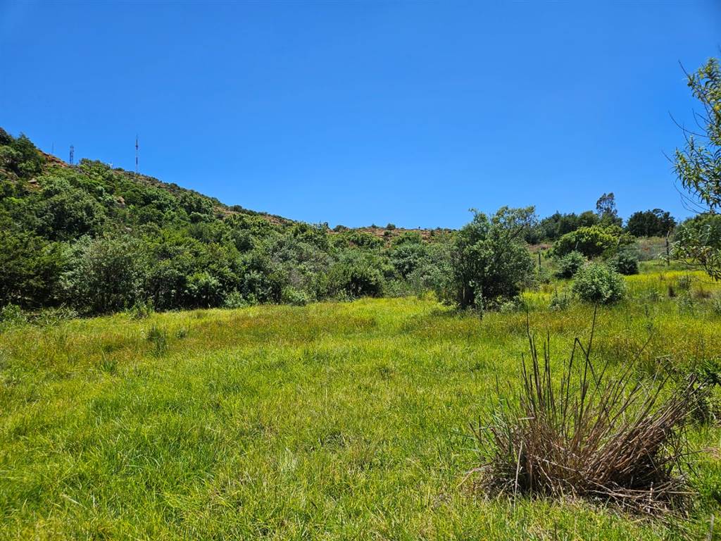 1214 m² Land available in Heidelberg Kloof Estate photo number 5