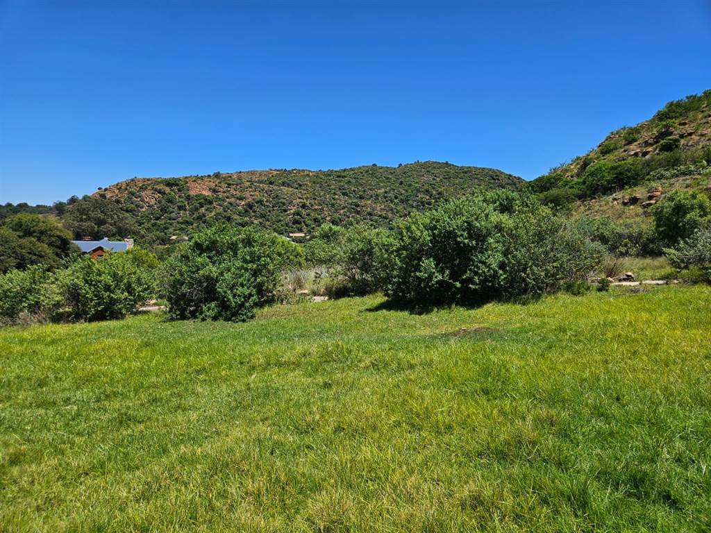 1214 m² Land available in Heidelberg Kloof Estate photo number 2