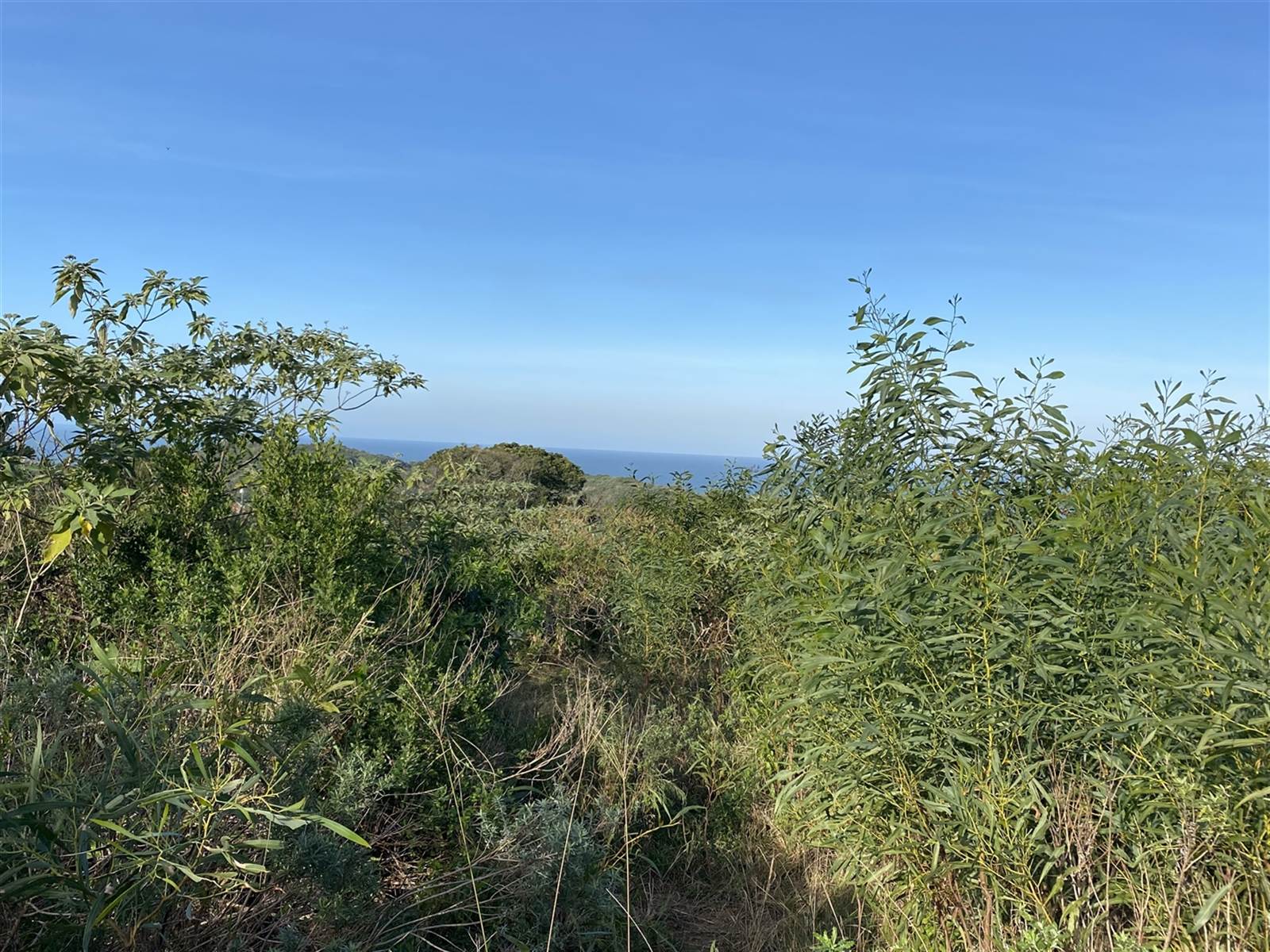 943 m² Land available in Cintsa photo number 11