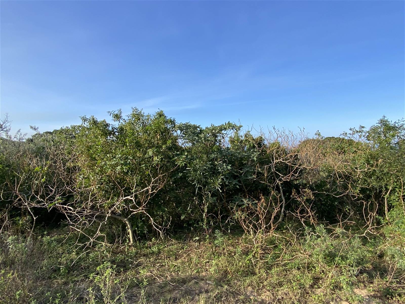 943 m² Land available in Cintsa photo number 9