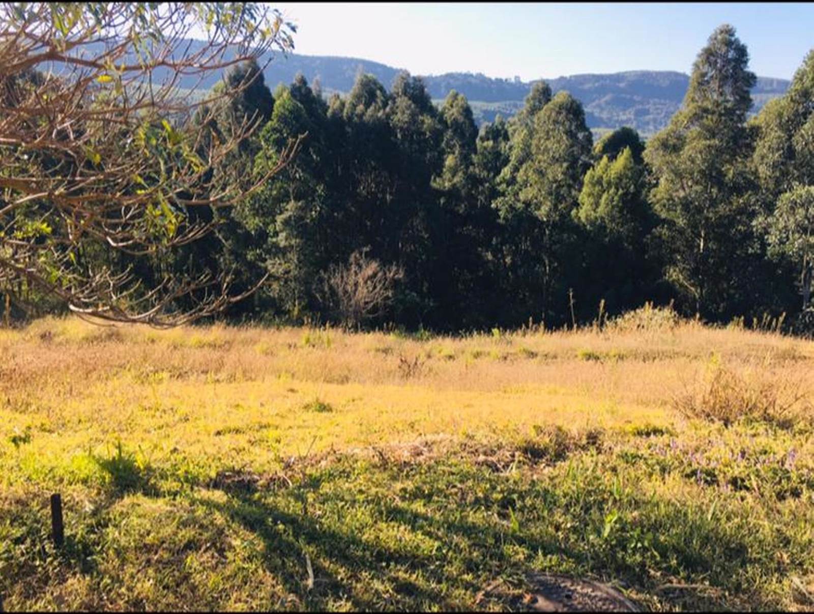 1312 m² Land available in Victoria Country Club Estate photo number 1
