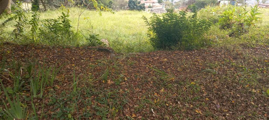3155 m² Land available in Bluff photo number 14
