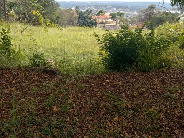 3155 m² Land available in Bluff