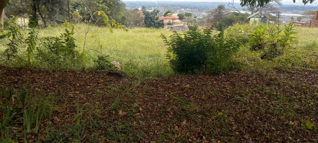 3155 m² Land available in Bluff photo number 1