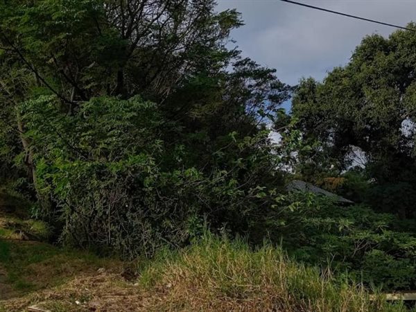 2 357 m² Land 2 357 m² Land