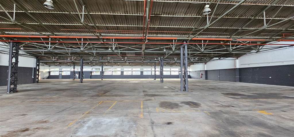 2760  m² Industrial space in Elsies River Industrial photo number 18