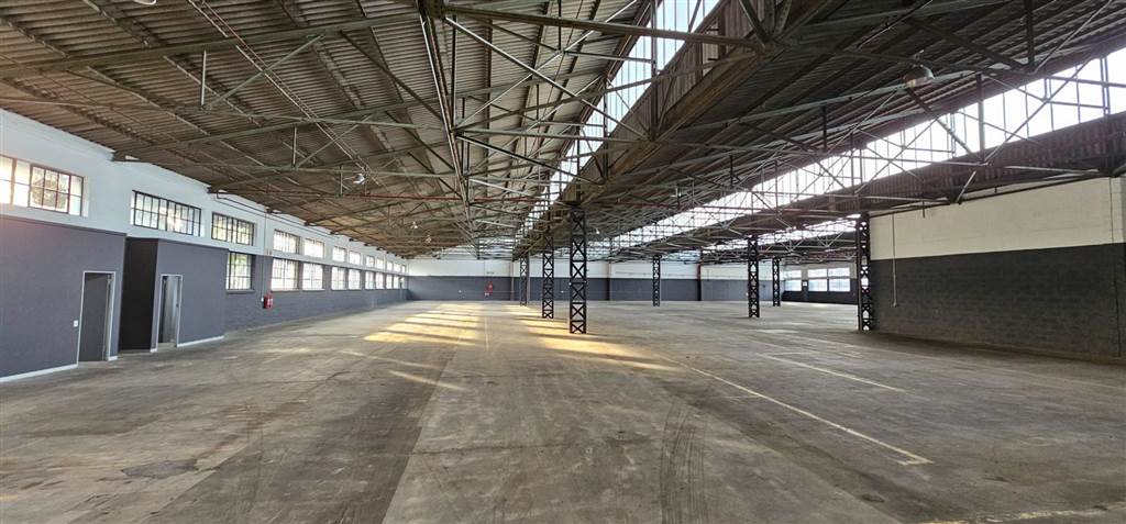 2760  m² Industrial space in Elsies River Industrial photo number 5