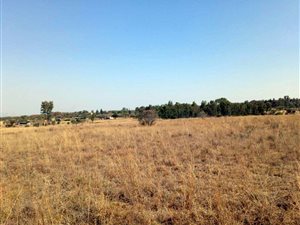 5.8 ha Land available in Pyramid