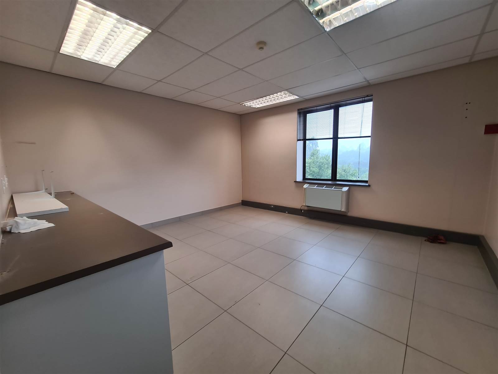 303.8  m² Commercial space in Fourways photo number 9