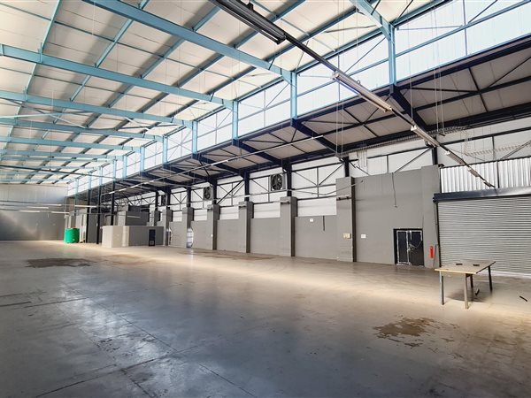 5619  m² Industrial space in Strydompark