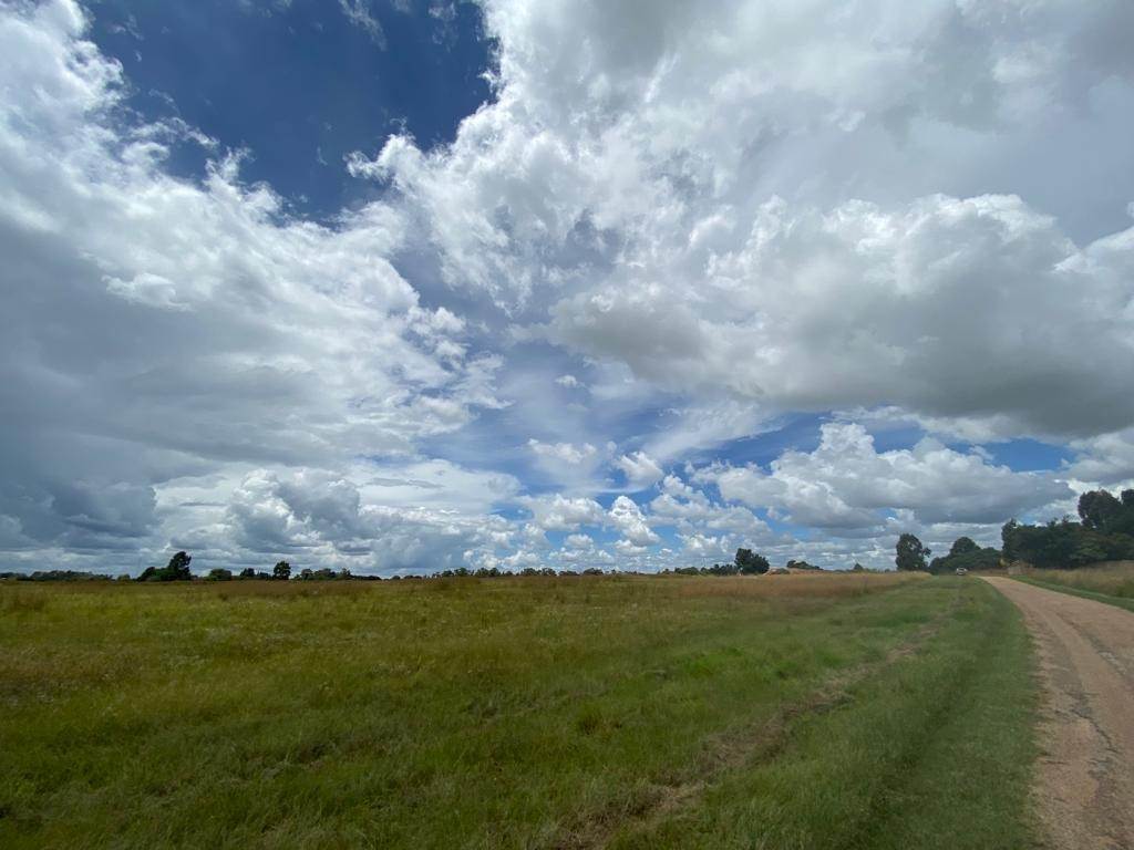 25 m² Land available in Benoni North photo number 8
