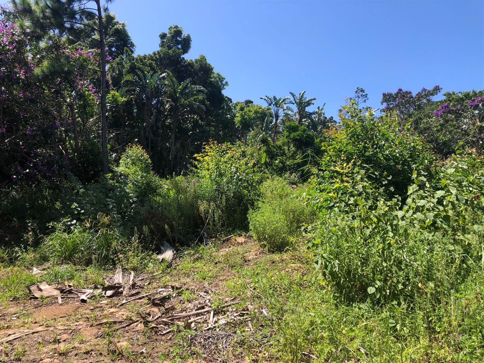 1032 m² Land available in Port Edward photo number 3