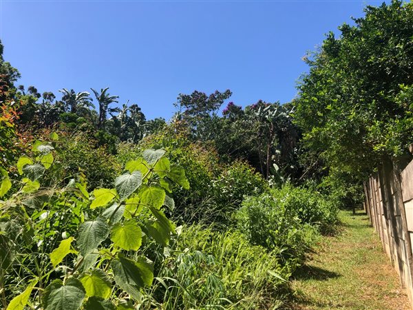 1032 m² Land available in Port Edward
