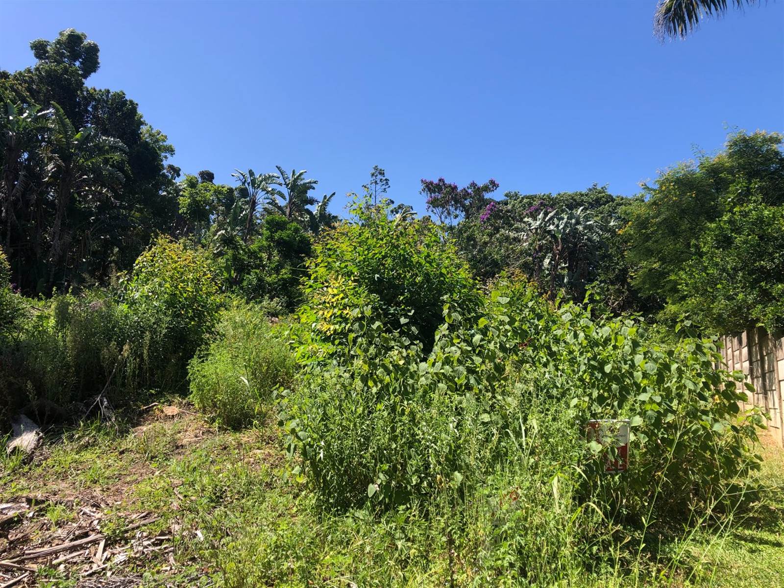 1032 m² Land available in Port Edward photo number 2