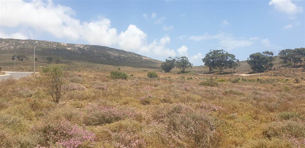 452 m² Land available in St Helena Views photo number 12