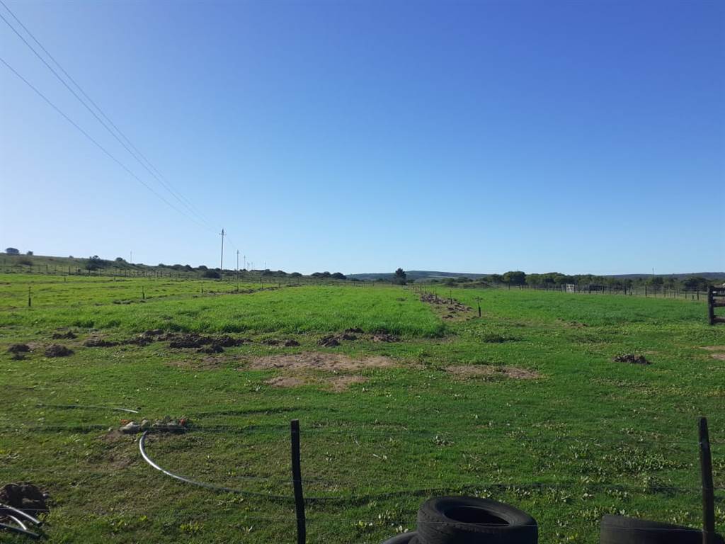 52 ha Farm in Mossel Bay Central photo number 10