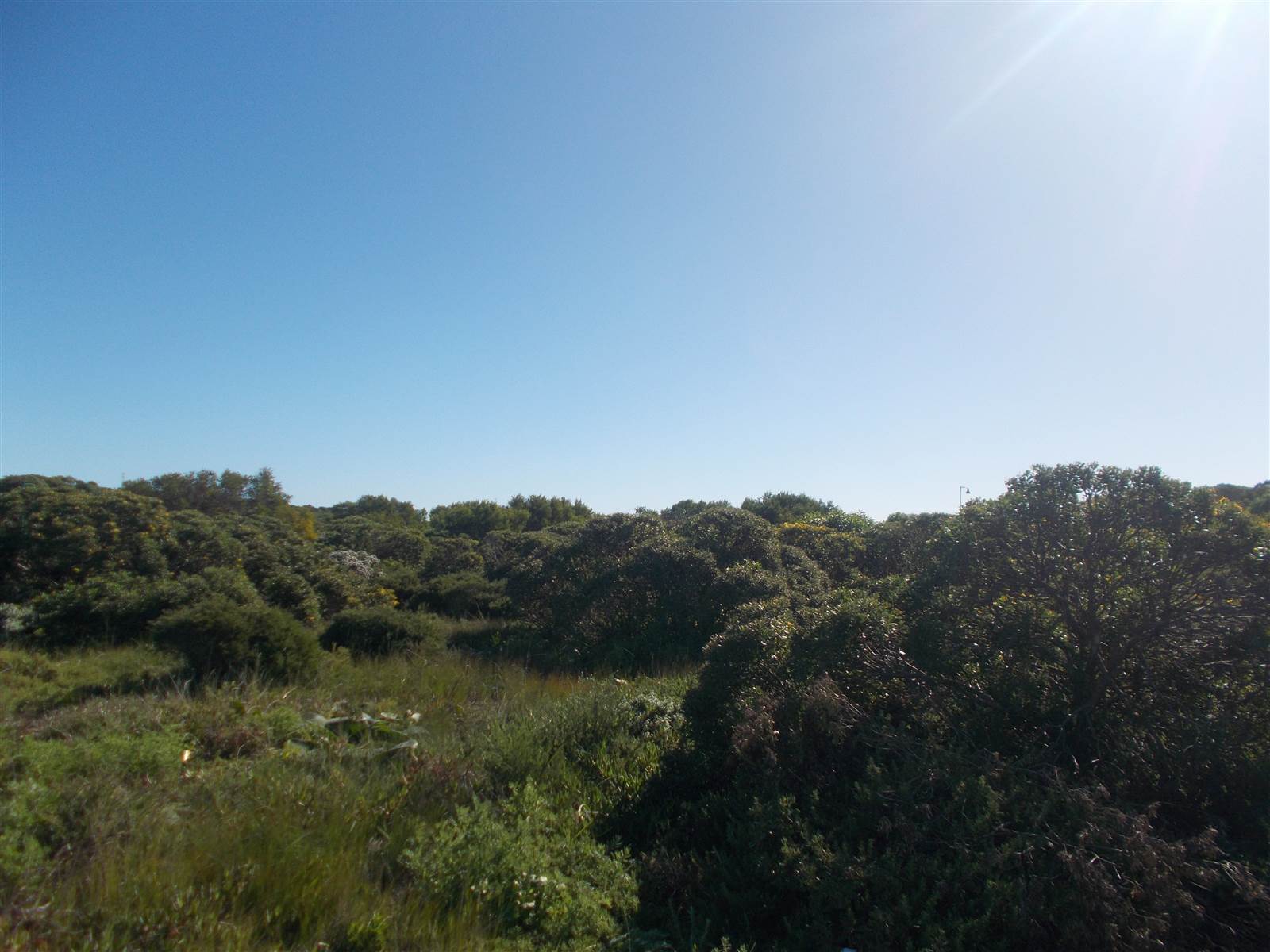 619 m² Land available in Kleinbaai photo number 7