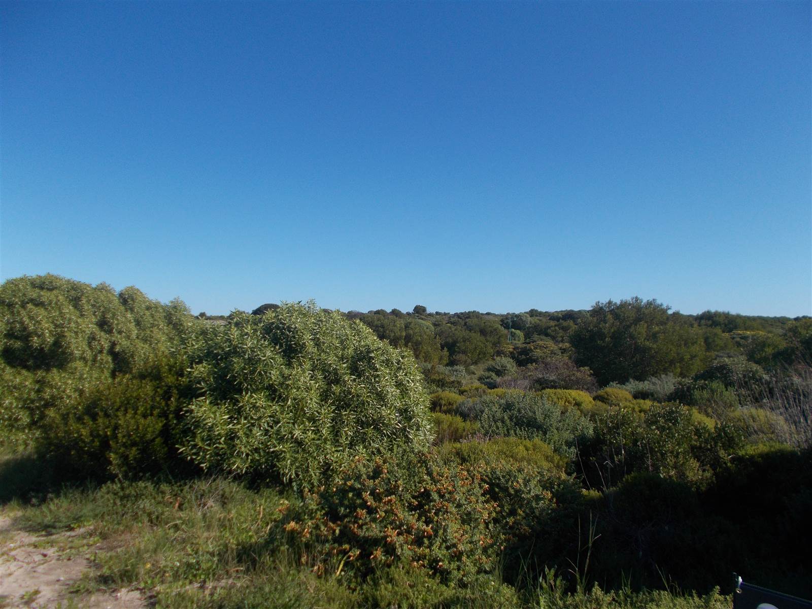 619 m² Land available in Kleinbaai photo number 2