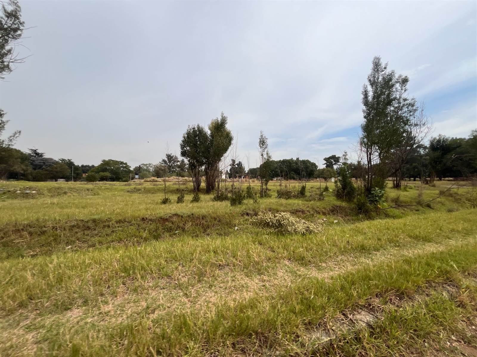 3.1 ha Land available in Struisbult photo number 4