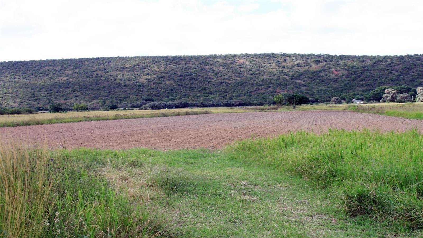 27.8 ha Farm in Modimolle photo number 23