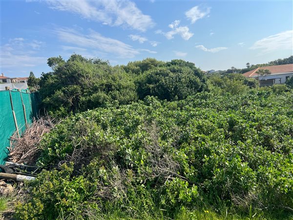 602 m² Land available in St Francis Bay