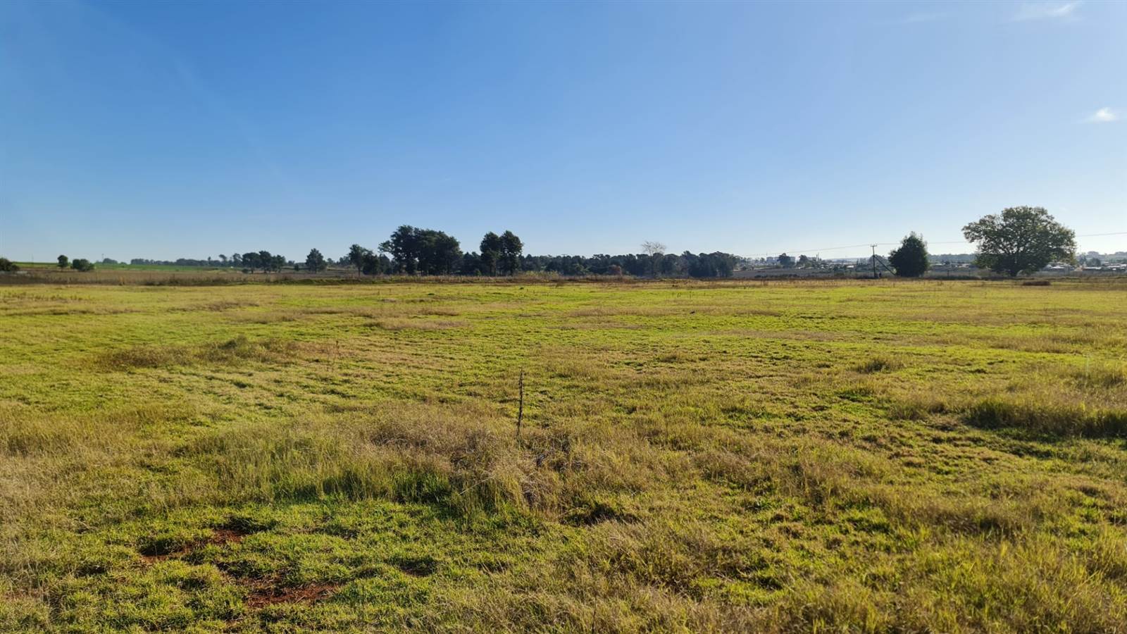 8.5 ha Land available in Tarlton photo number 5