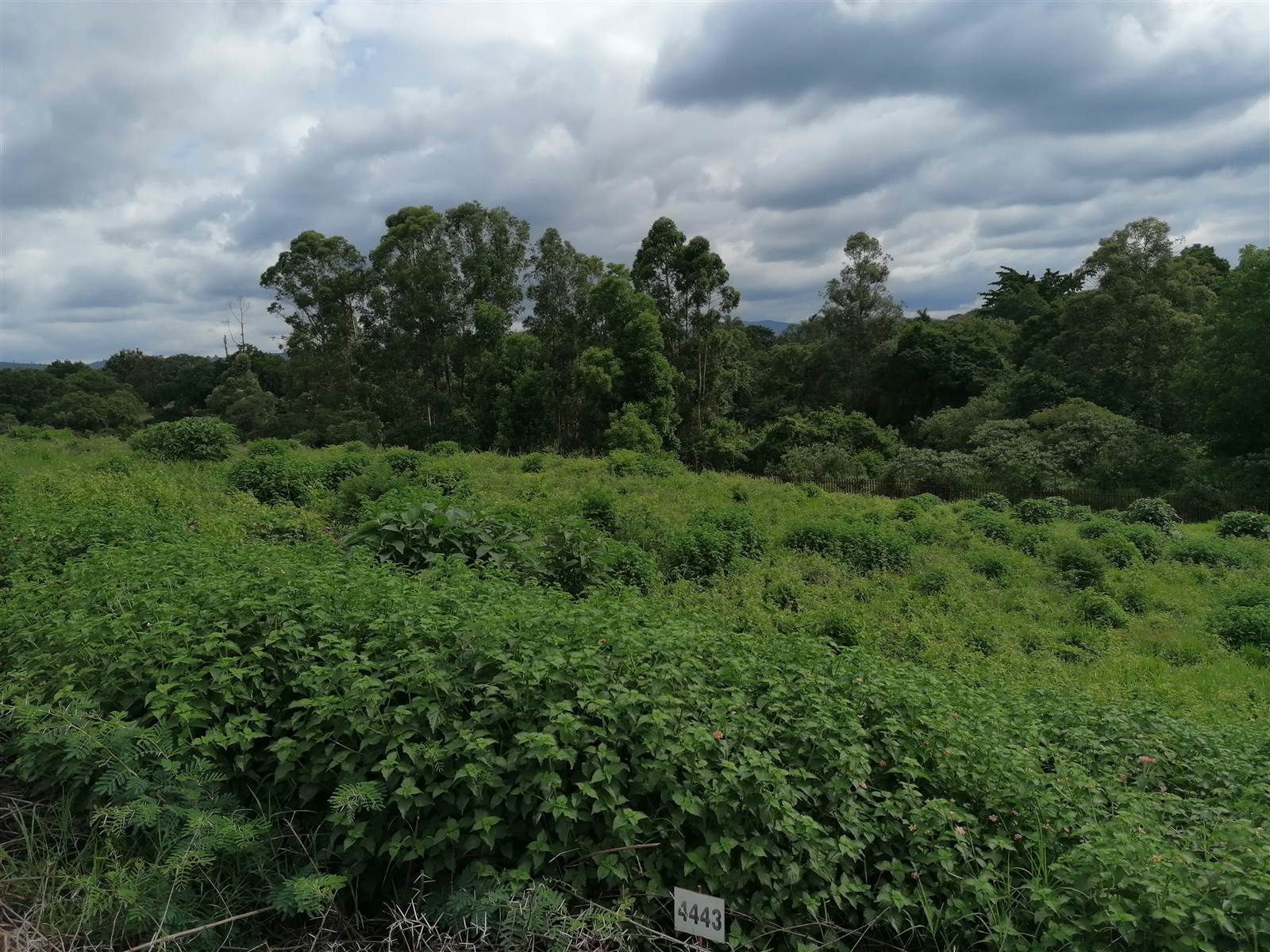 1508 m² Land available in Tzaneen photo number 5
