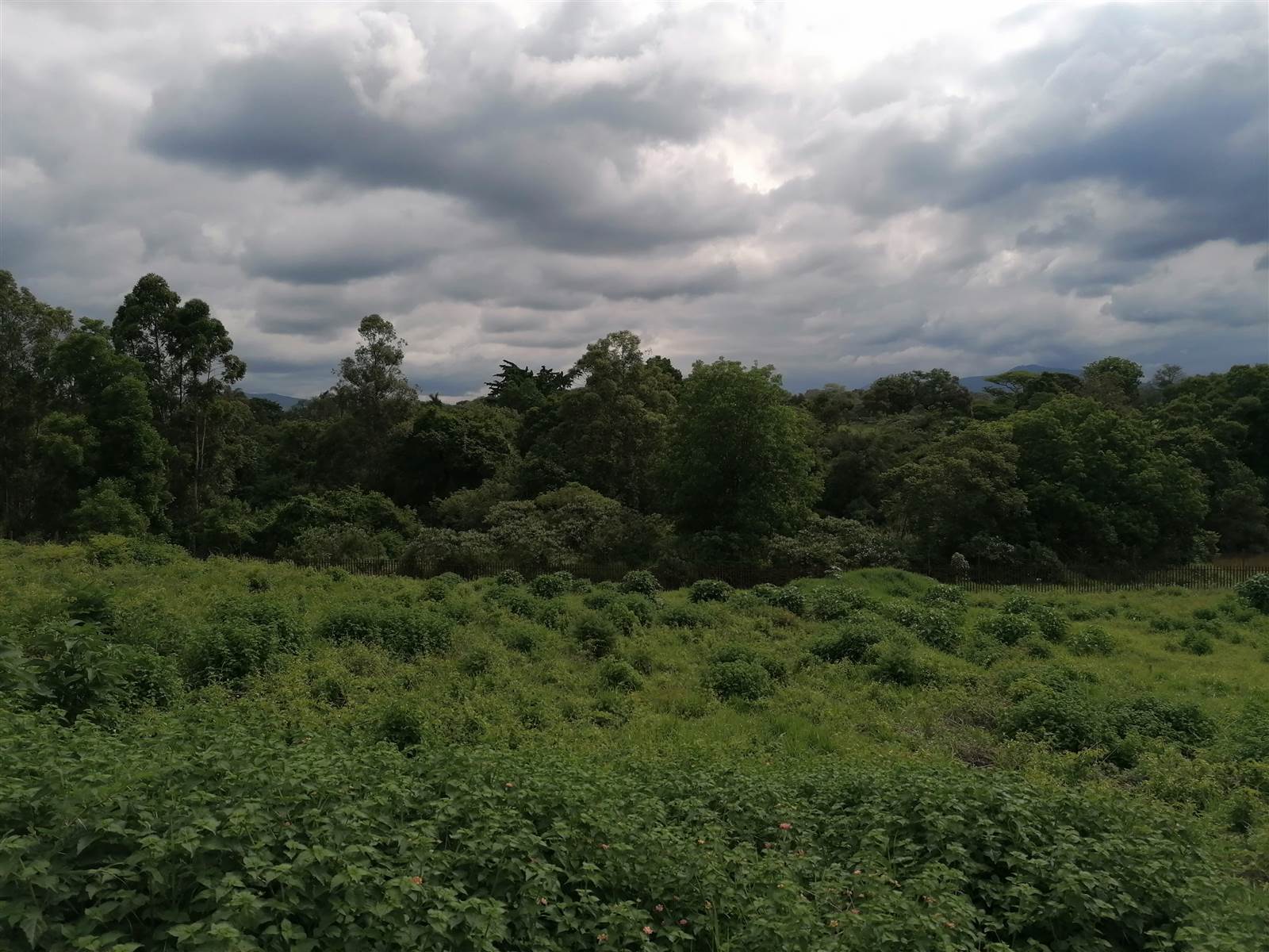 1508 m² Land available in Tzaneen photo number 9