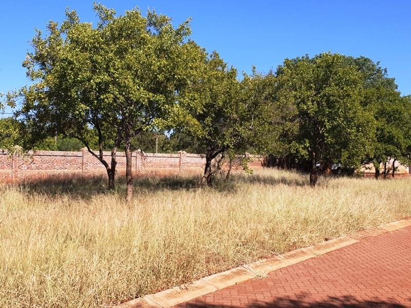 302 m² Land available in Mookgophong (Naboomspruit) photo number 3