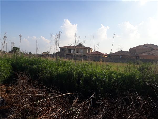 1010 m² Land available in Waldrift