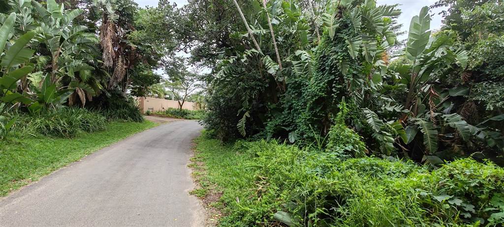 2129 m² Land available in Southbroom photo number 7