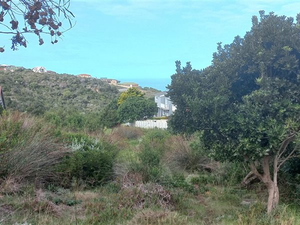 910 m² Land