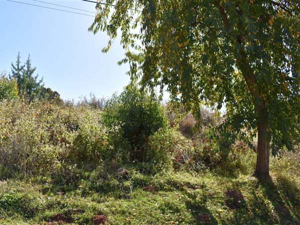 5 949 m² Land