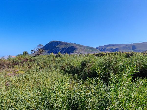 998 m² Land available in Franskraal
