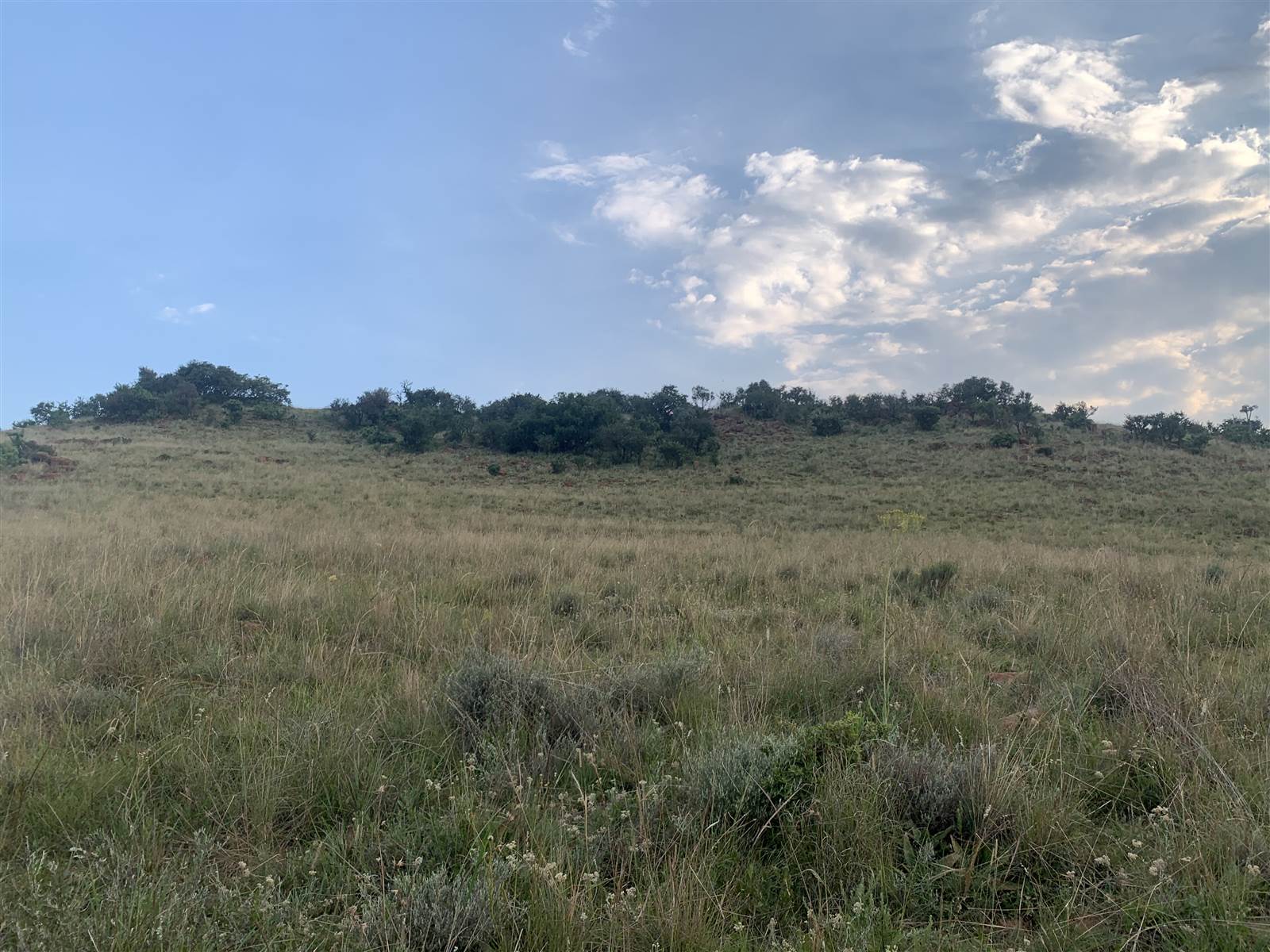 6 ha Land available in Hartzenbergfontein photo number 7