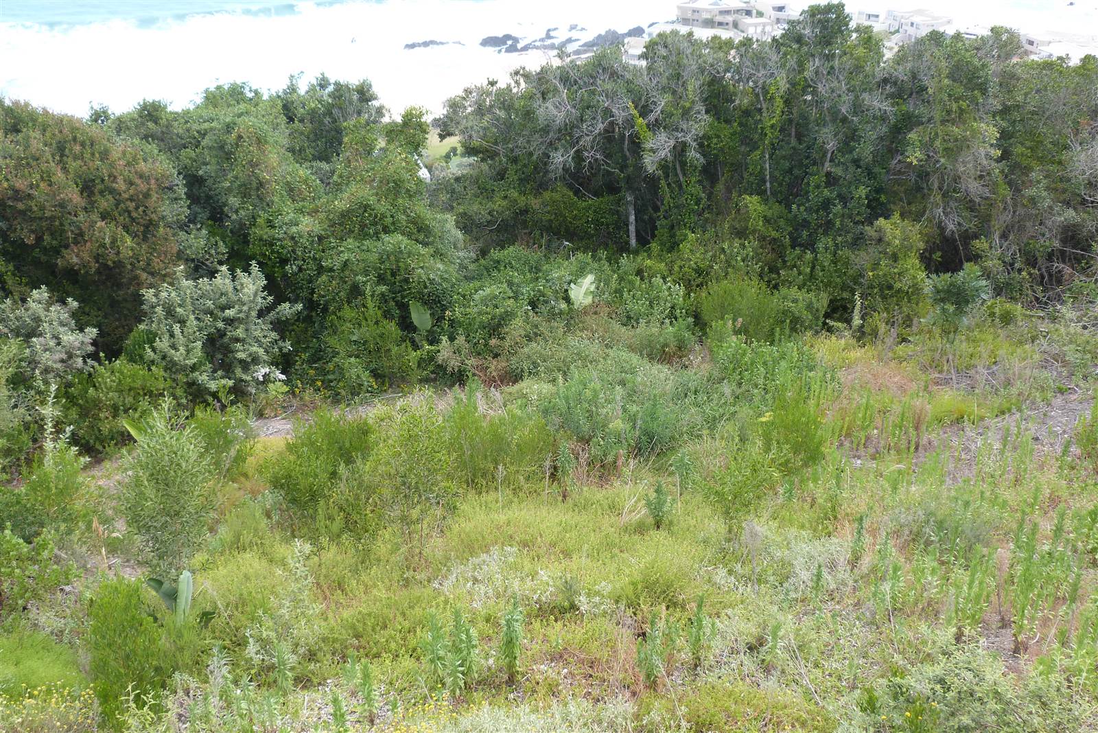 891 m² Land available in Keurboomstrand photo number 4