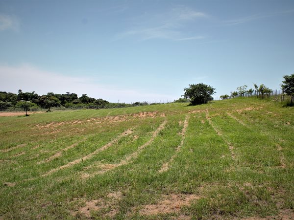 3036 m² Land available in Sonheuwel