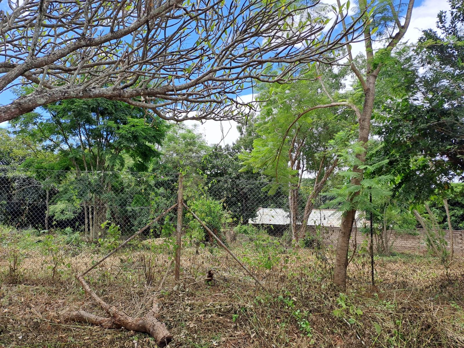 987 m² Land available in Numbi Park photo number 4