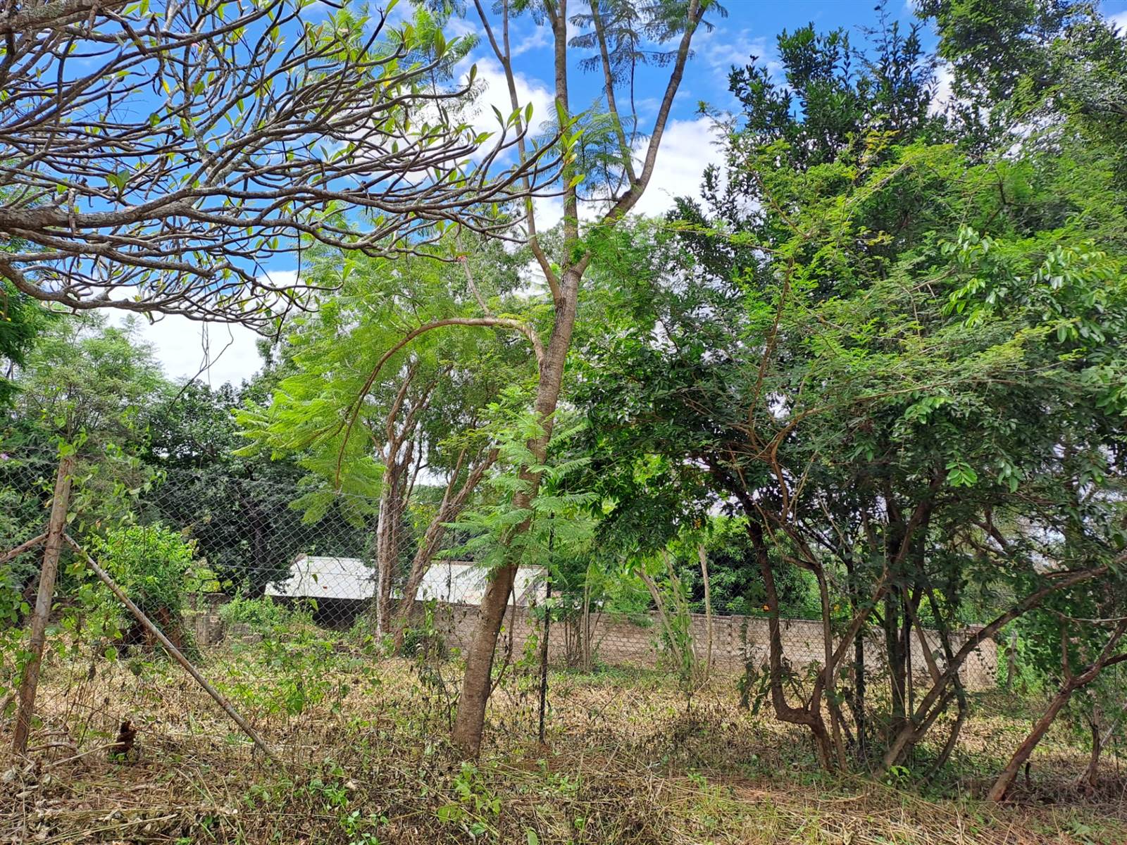 987 m² Land available in Numbi Park photo number 5