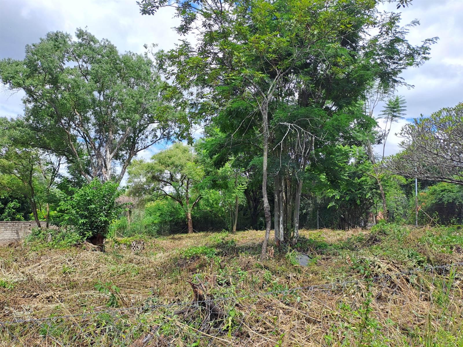 987 m² Land available in Numbi Park photo number 3