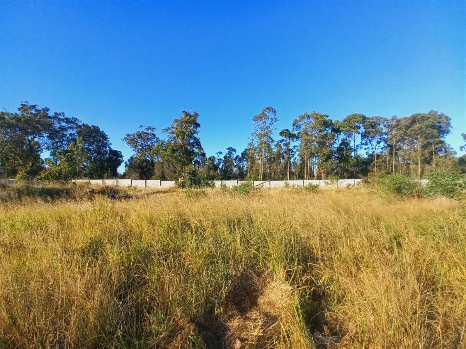 700 m² Land available in Pinelands photo number 4